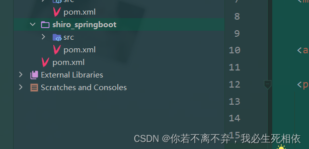 Shiro学习之SpringBoot整合（1）