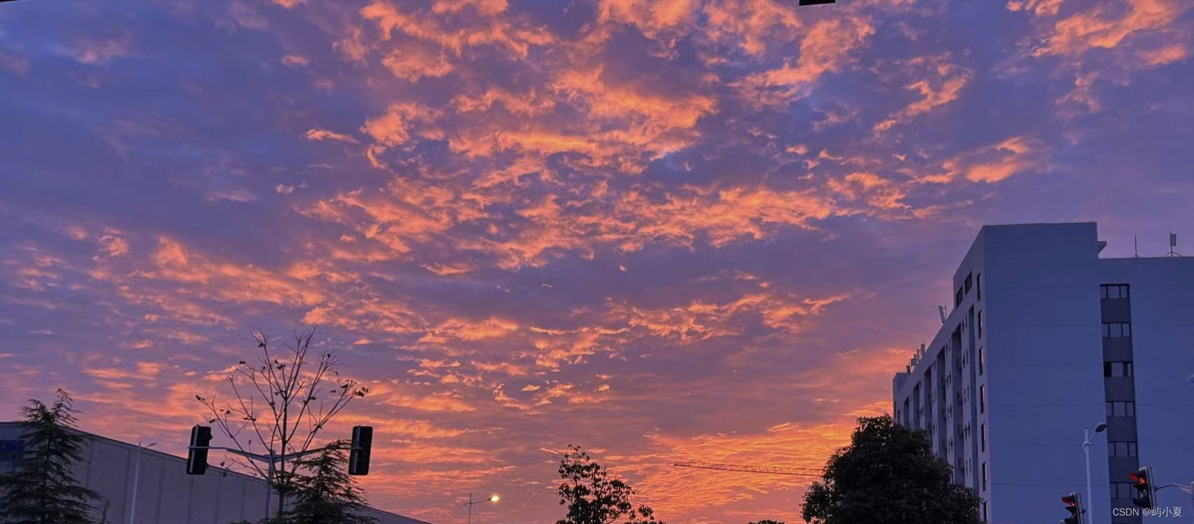 秒懂抽象类（java）