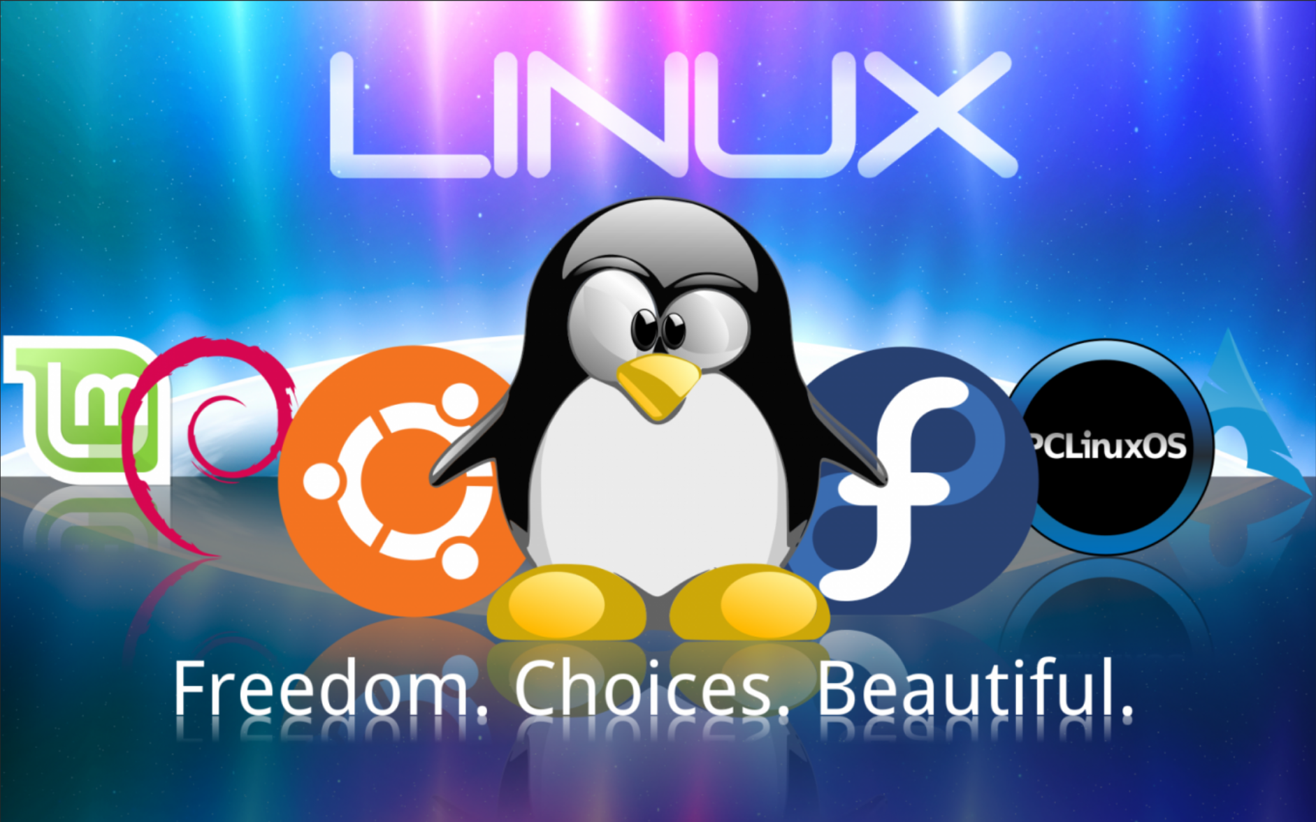 深入探索Linux文件系统：属性、路径与隐藏之谜