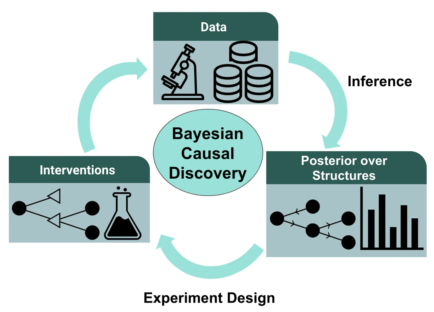 bayesian-causal-discovery-0-1.png