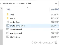 手把手教你Spring Cloud Alibaba系列教程：Nacos实现服务注册与发现