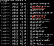 Centos下搭建Hadoop伪分布式（二）