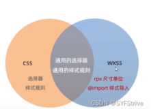 微信小程序开发实战（WXSS VS CSS）