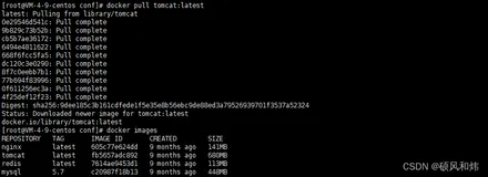 Linux操作系统Docker部署Tomcat教程