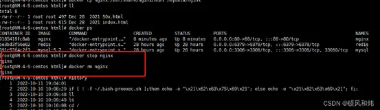 Linux操作系统上用Docker部署Nginx