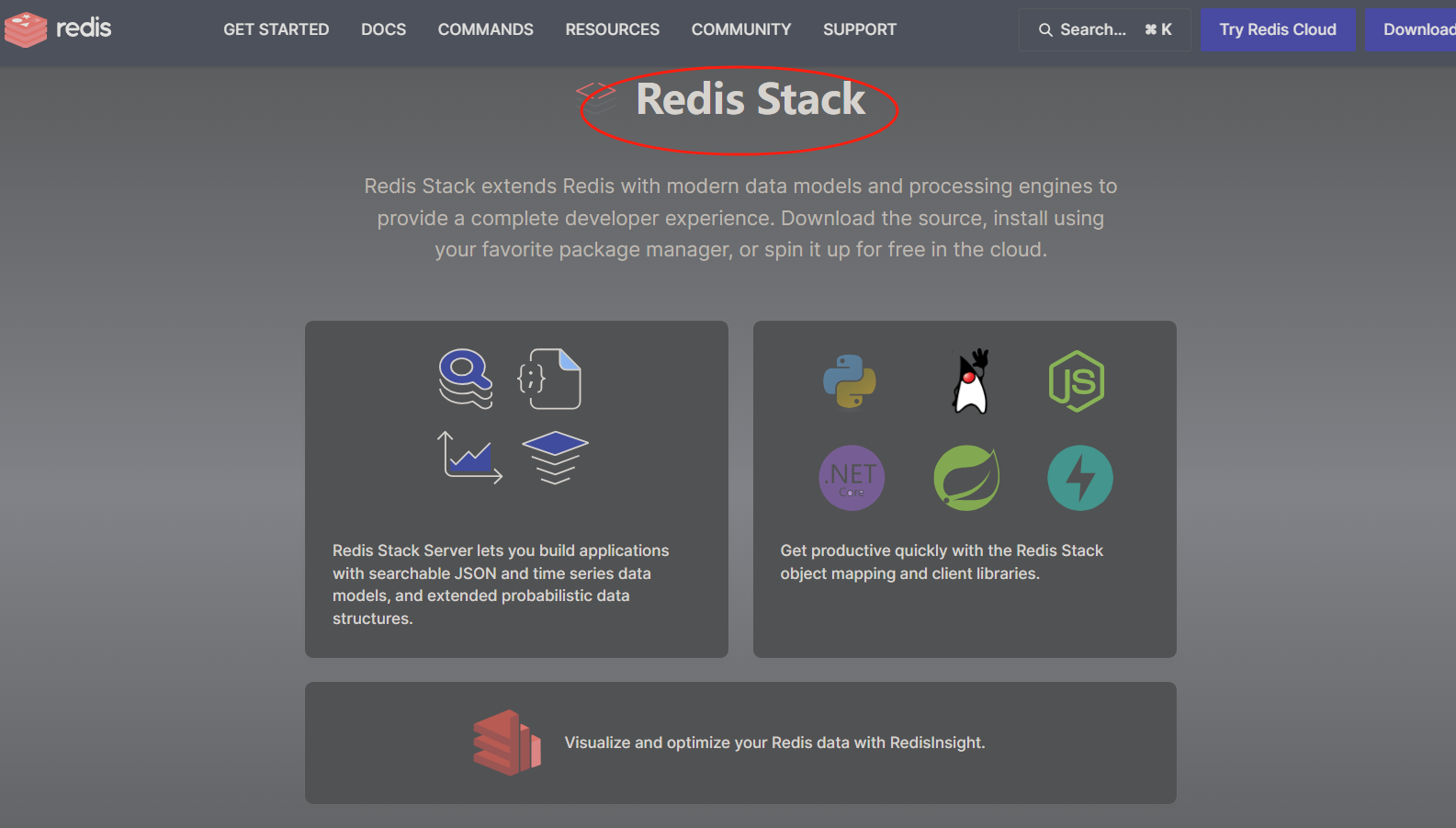 Redis stack 