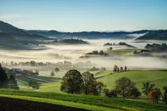 秒懂算法 | 基于图神经网络的推荐算法