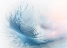 秒懂算法 | 进制哈希