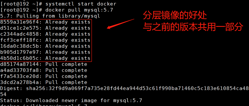 Docker学习重点(3)~docker命令：帮助命令、镜像命令、容器命令、常用其他命令