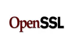 FFmpeg开发笔记（十六）Linux交叉编译Android的OpenSSL库