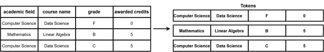 行 tokenization 示例