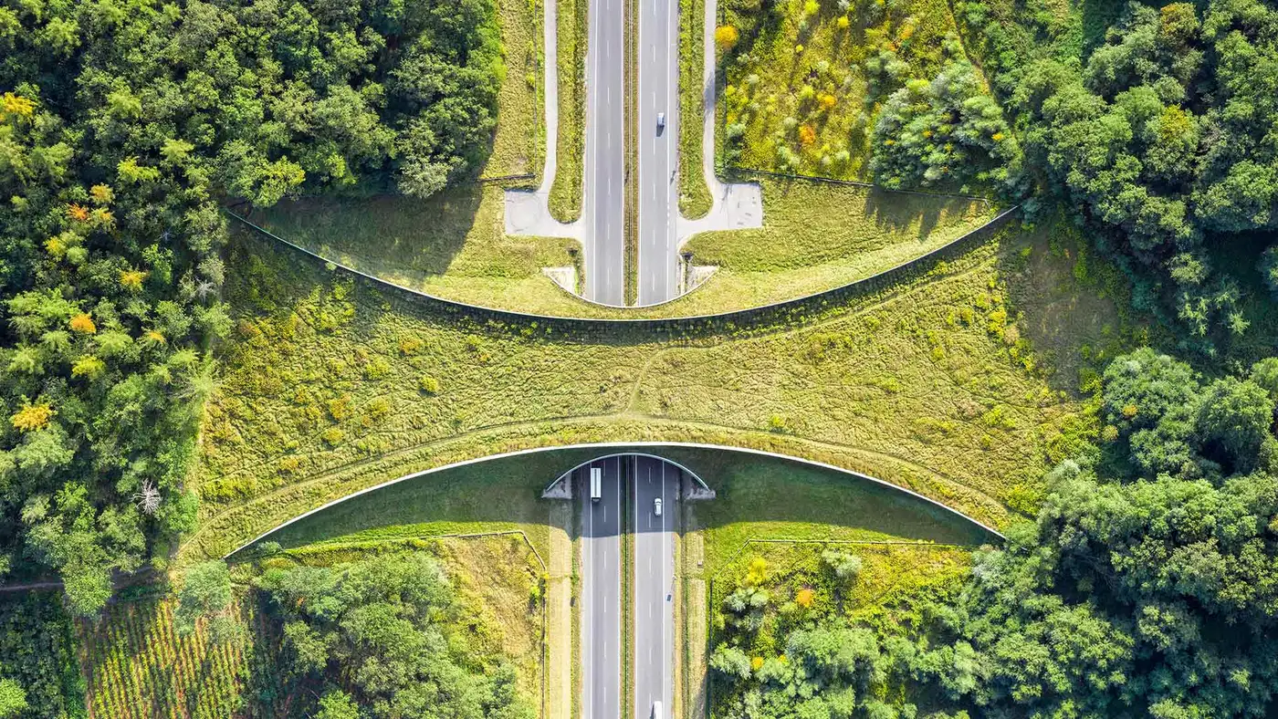 氛围图
