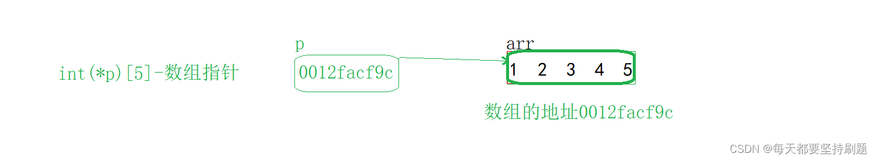 【进阶指针一】字符数组&数组指针&指针数组（下）