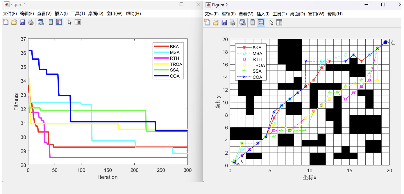 【机器人路径规划】基于6种算法（黑翅鸢优化算法BKA、SSA、MSA、RTH、TROA、COA）求解机器人路径规划研究（Matlab代码实现）