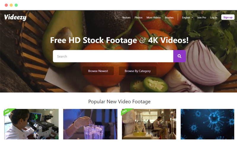 Videezy: 免费高清4K视频素材资源下载网站