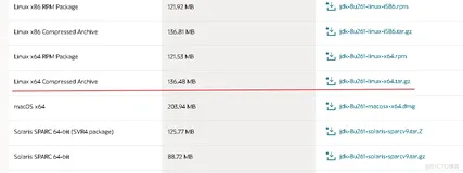 kali安装专业版burpsuite