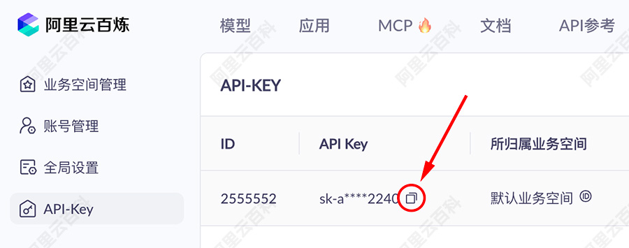 复制API Key.jpg