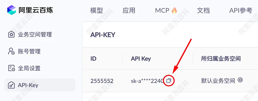 复制API Key.jpg