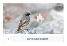想用C# .Net生成行为验证码，还得看这篇文章