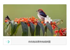 关于验证码，你不知道的一些问题！