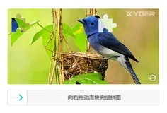 KgCaptcha 图形验证码自定义验证行式