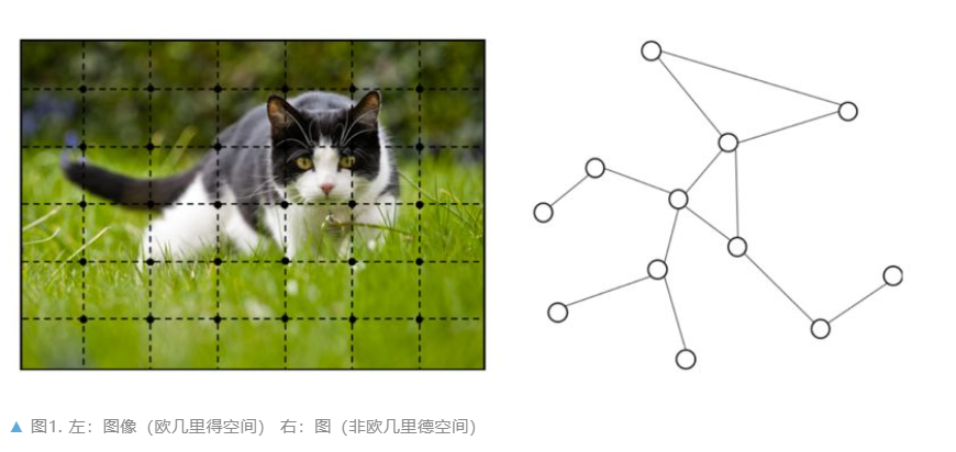 图神经网络综述：模型与应用 