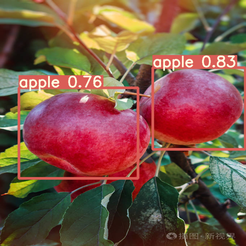 Python+Yolov5果树上的水果(苹果)检测识别