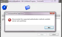 tortoiseGit fatal: Could not read from remote repository.