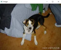 opencv与Image以及numpy转换和显示【附代码】