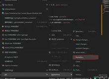 IDEA工具操作Git------远程仓库管理(Gitee版)
