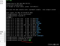 Zookeeper系列 (三） [单机版连接客户端]