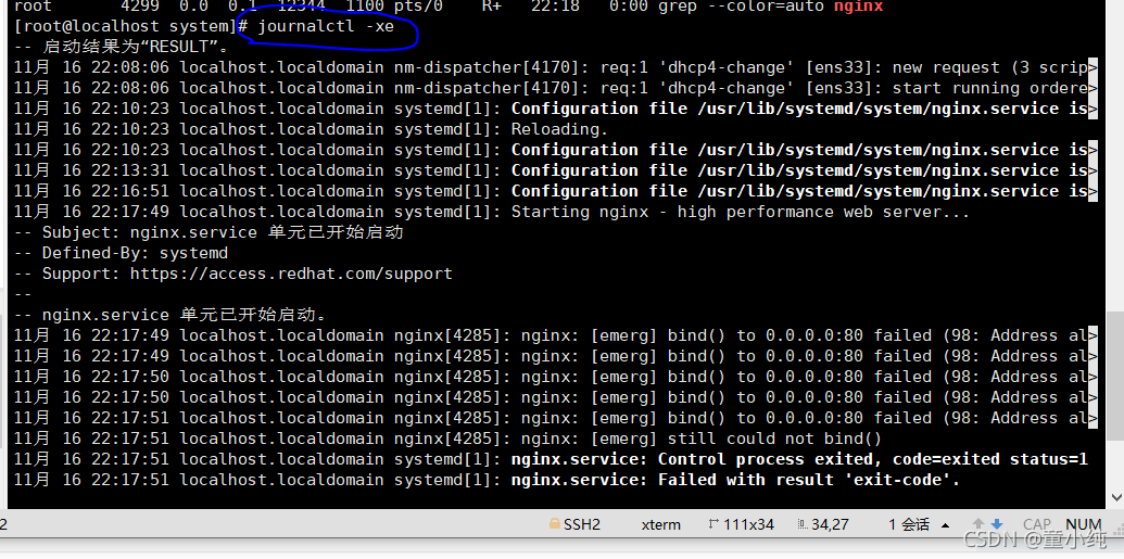 Nginx 