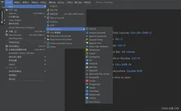 DataGrip 2020版-------入门教程