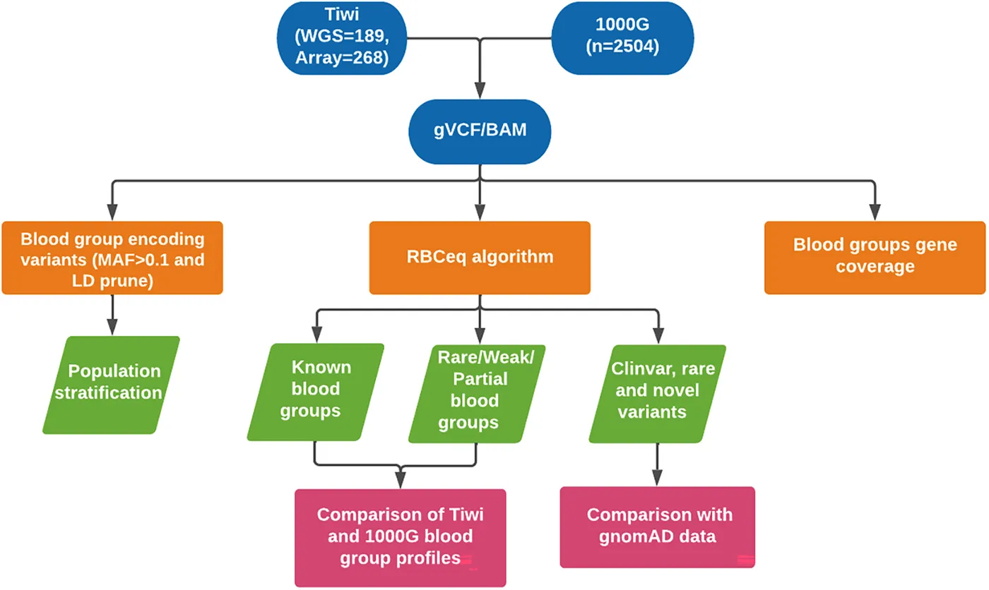 trf16873-fig-0001-m.jpg