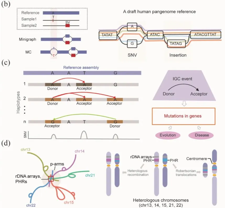 屏幕截图 2025-11-24 153915.jpg