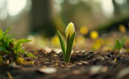 Vue的生命周期详解及业务场景应用