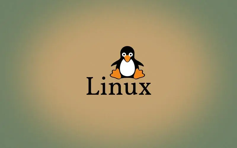 【Linux】 常用命令