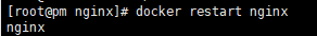 【docker】记录一次nginx启动失败的检测