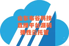 直播平台源码弹性云托管技术：稳定直播与降低成本的利器