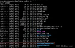 InnoDB 独立表空间与共享表空间