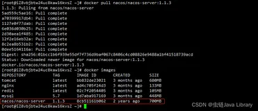 Docker下载安装Nacos并完成持久化配置