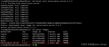 Docker下载安装Nacos并完成持久化配置