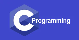 C 语言文件读取全指南：打开、读取、逐行输出