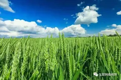 第2期 关系数据库与非关系数据库的区别