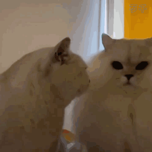 two.gif