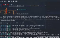 Sqlmap2021 -- Cookie注入