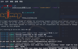 Sqlmap2021 -- Cookie注入