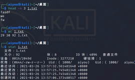 2021Kali系列 -- 基础命令学习(二)