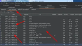 BurpSuite8.2 -- 查找包含id参数的URL