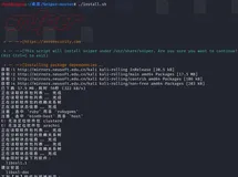 扫描工具 -- Sn1per Community Edition